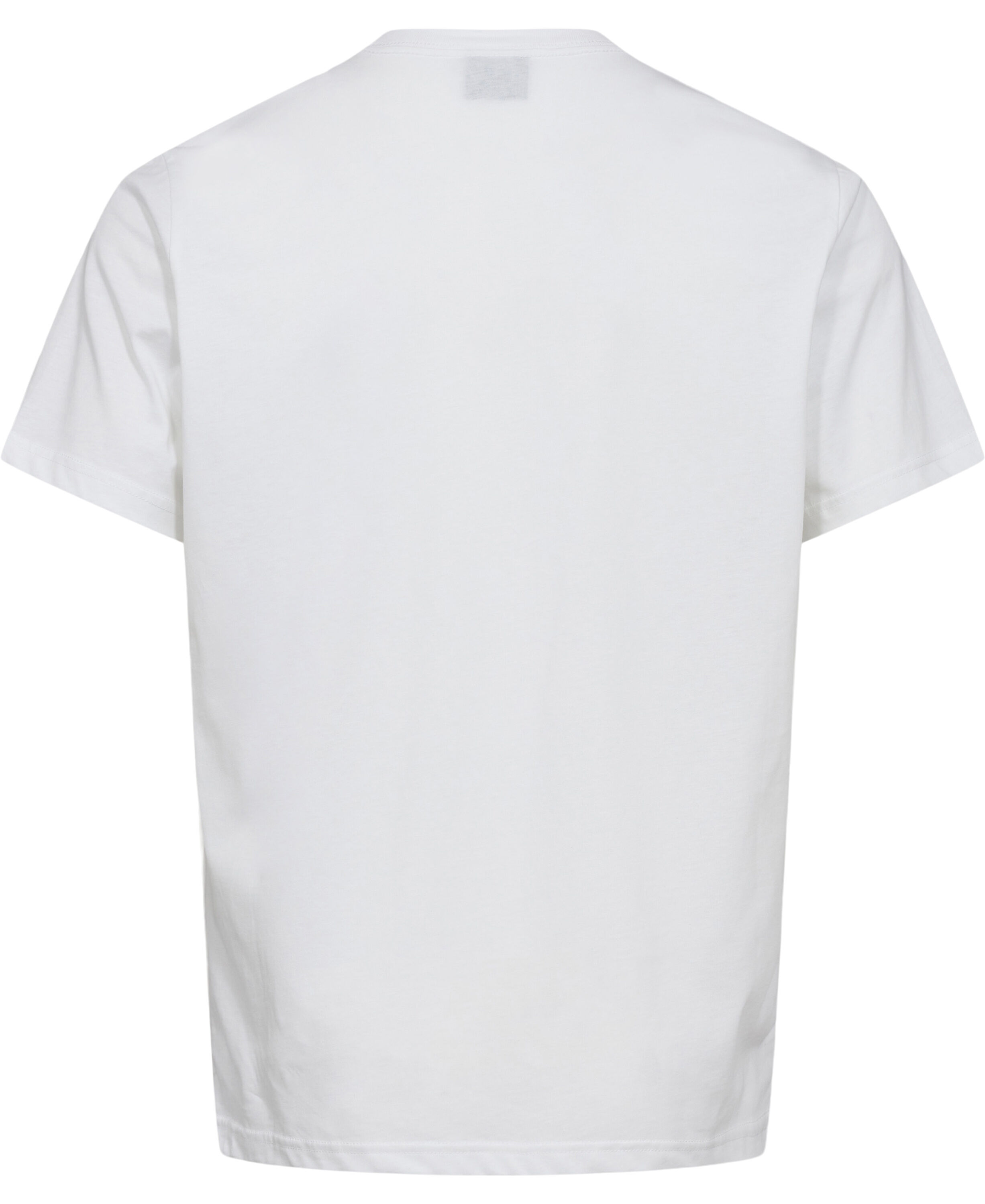 MENS REG FIT SS TSHIRT ZEBRA