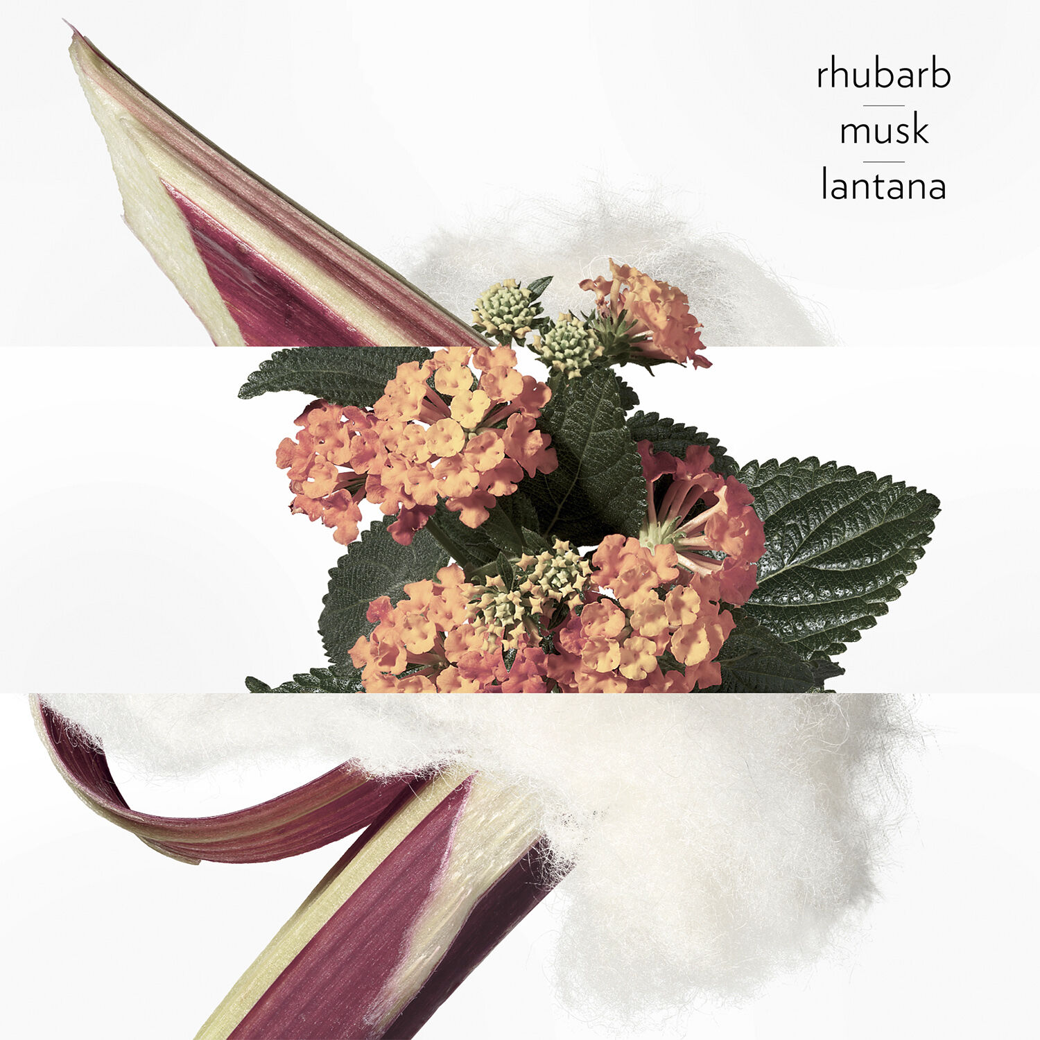 Eau De Rhubarbe &Eacute;carlate Eau de Cologne 200 ml