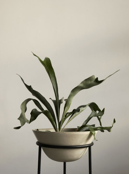 Daiza Planter, H47/Ø35, Ivory