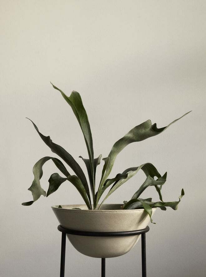 Daiza Planter, H47/Ø35, Ivory