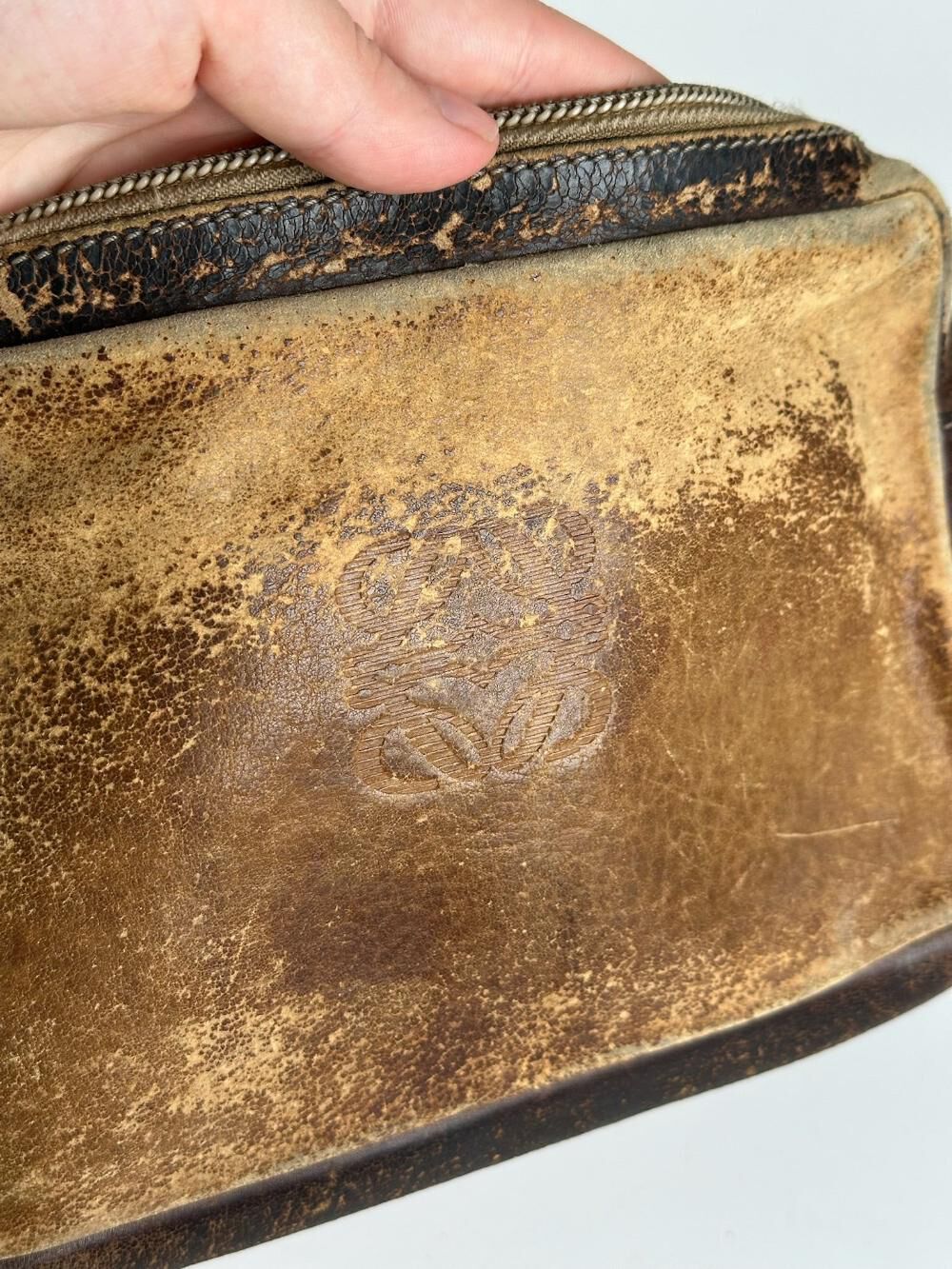 Loewe Clutch