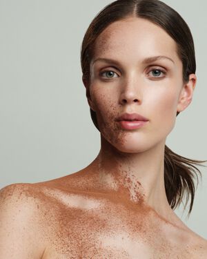 Bronzing Powder - Loose Minerals /