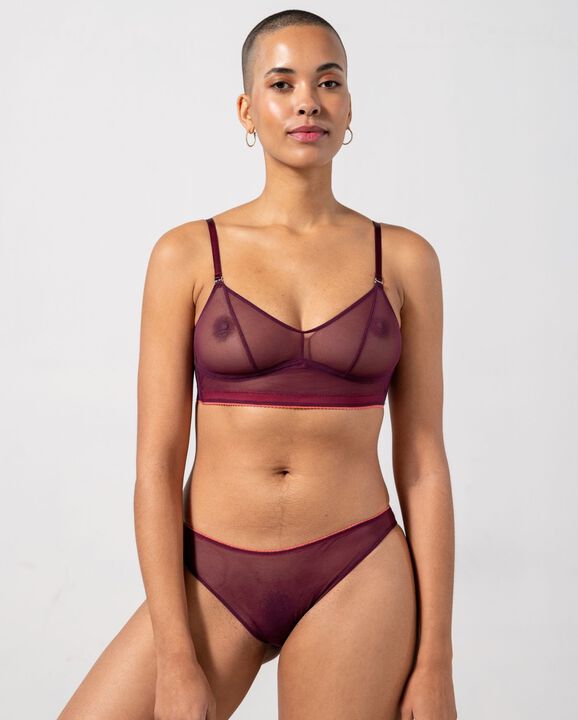 Mesh Bikini Briefs