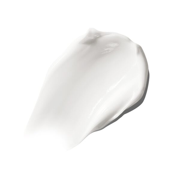 The Moisturizing Soft Cream