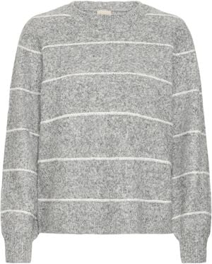 FRKENDRA PU 2