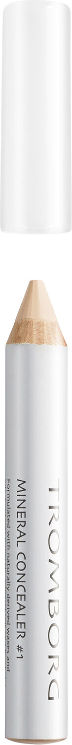 Mineral Concealer