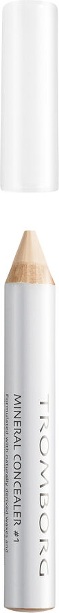 Mineral Concealer