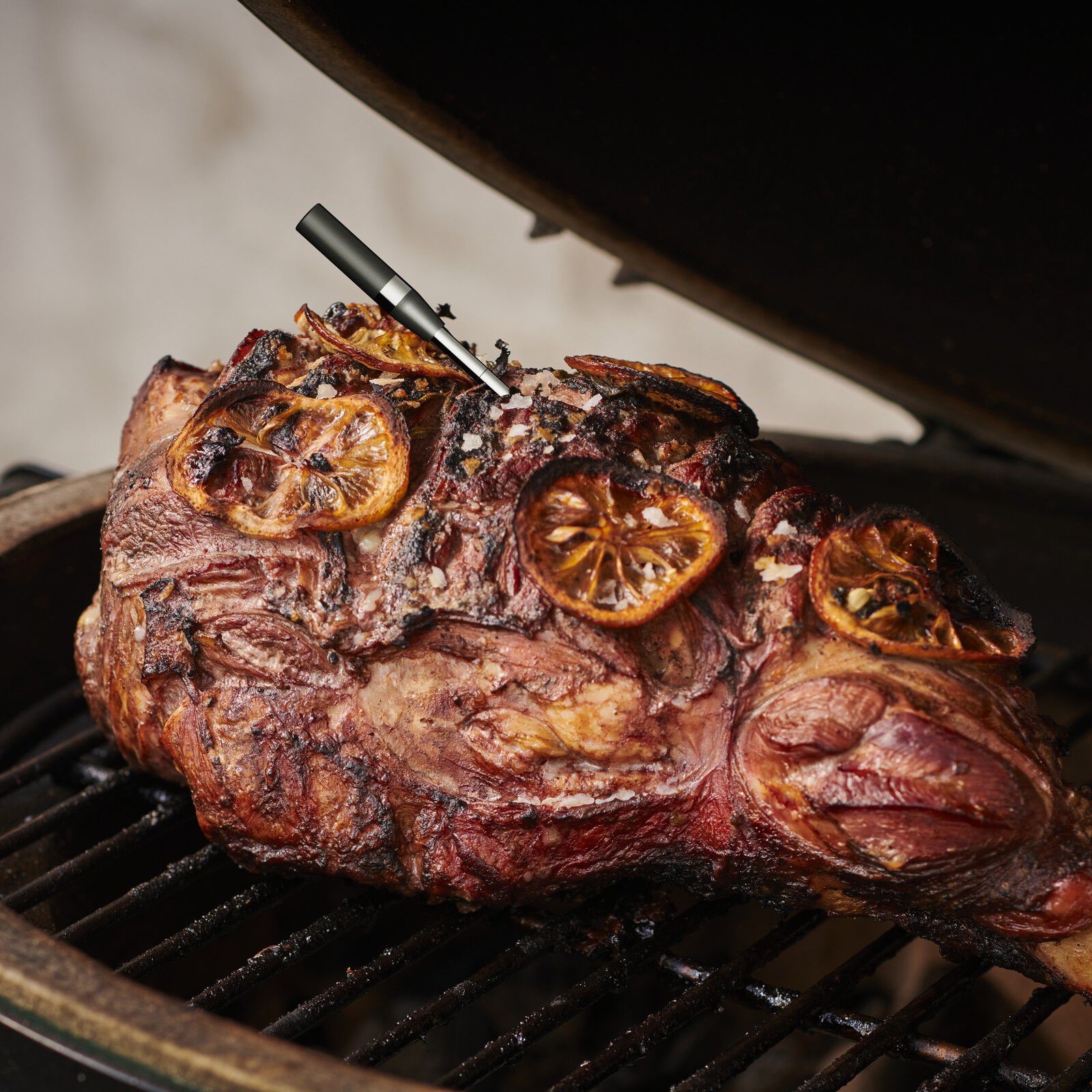 Witt Cook Perfect CookPerfect Wireless Single Frying thermom