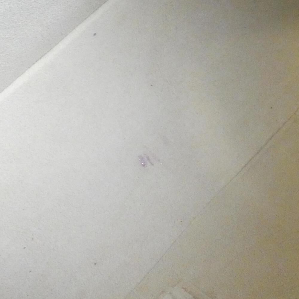 Louis Vuitton Looping