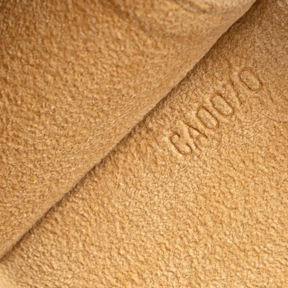 Louis Vuitton Twin Pochette