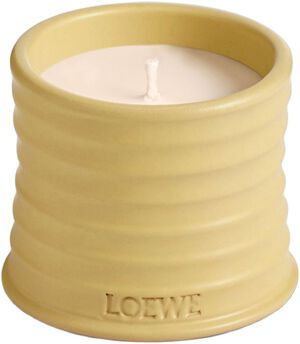 LOEWE Small Honey Candle