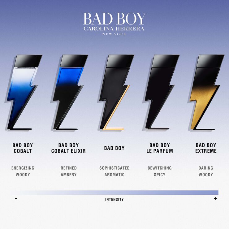 BAD BOY Extreme Eau de Parfum