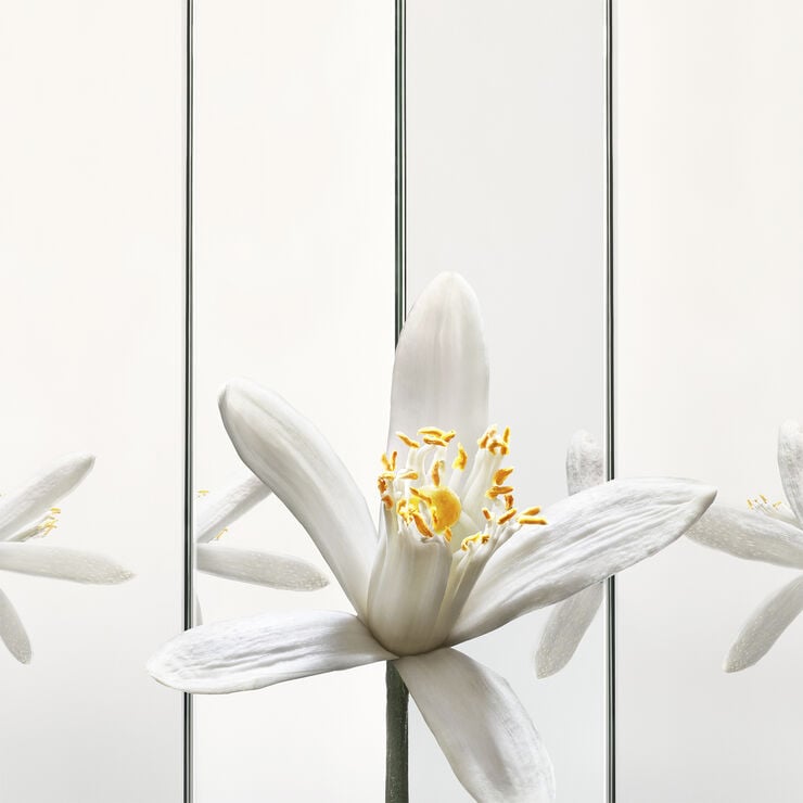 Yves Saint Laurent MYSLF Eau de Parfum