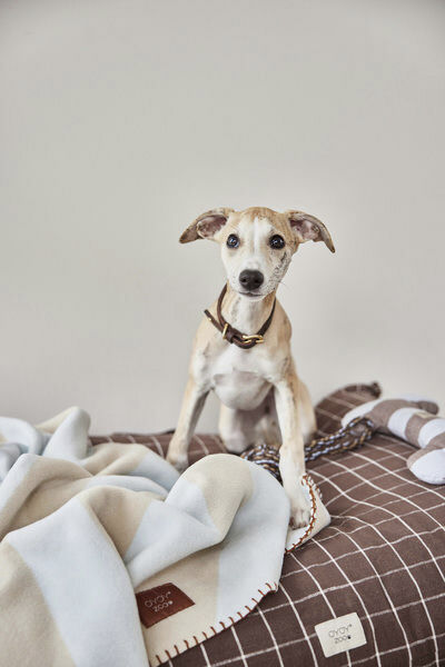 Otte Hunde Rebleget&oslash;j