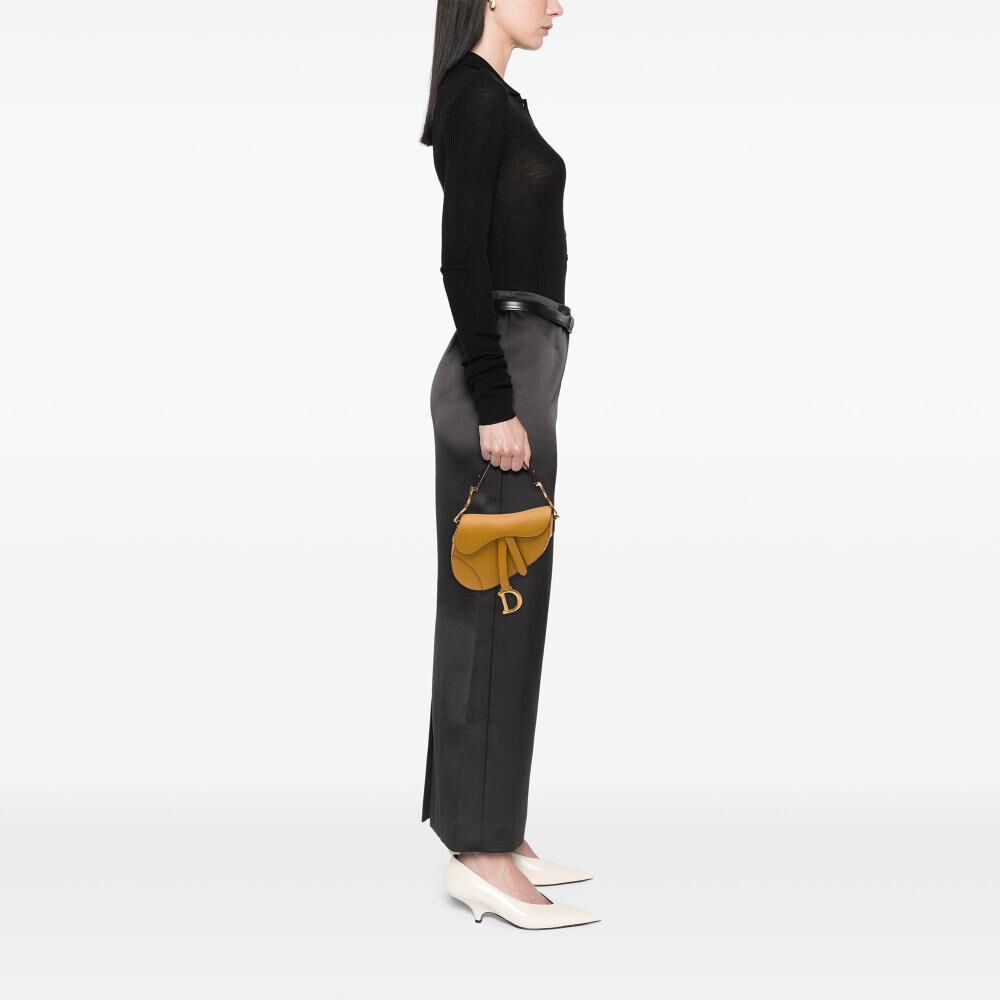 Dior Saddle Bag