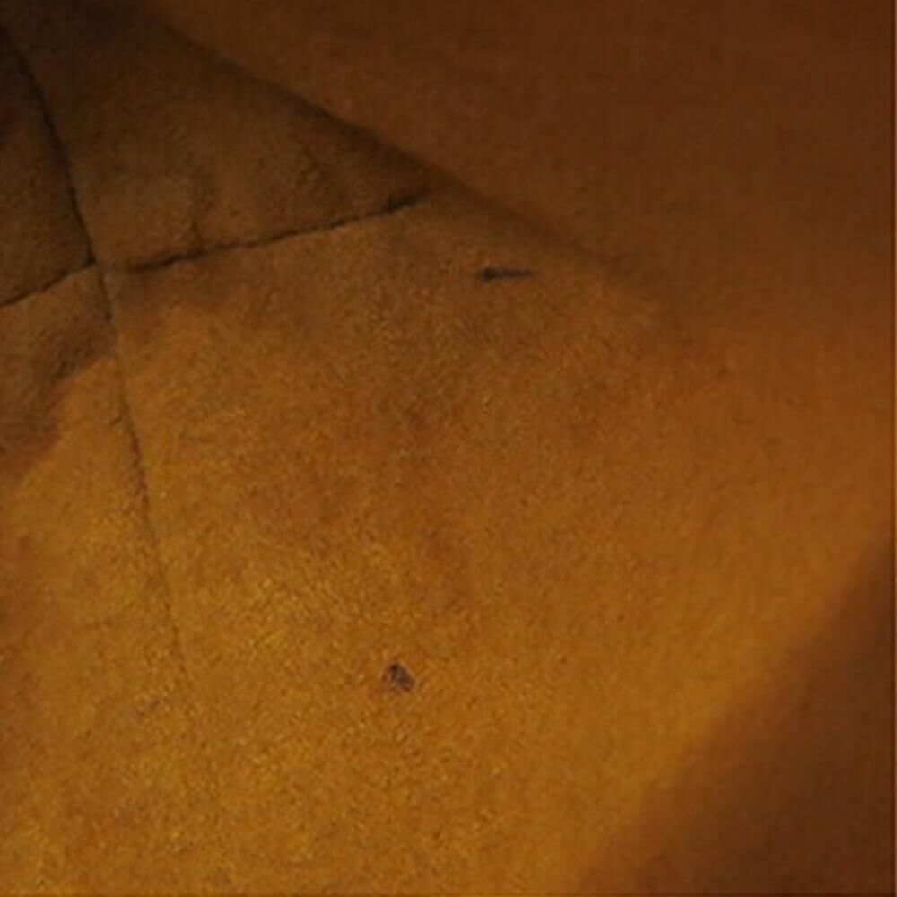 Louis Vuitton Musette Salsa