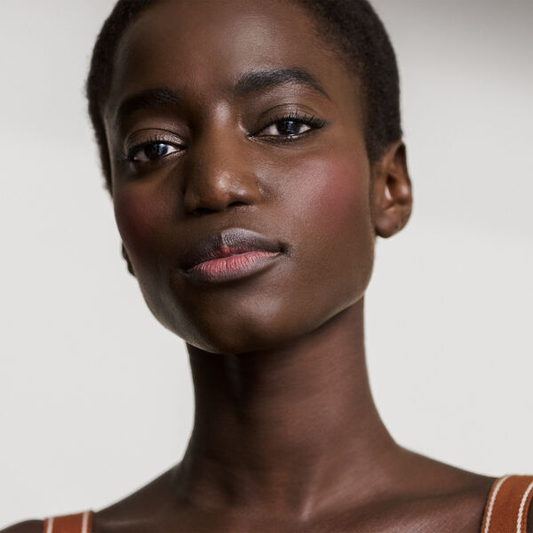 Rose Hermès Silky Blush Powder Refill