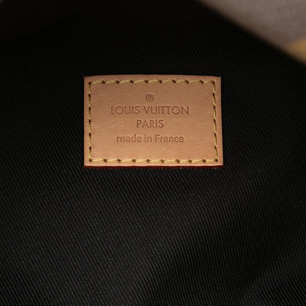 Louis Vuitton Belt Bags