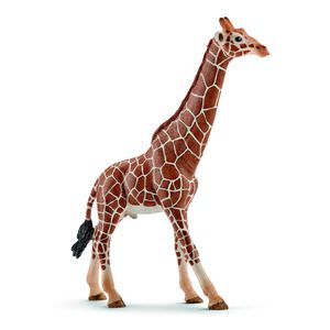 Sch Giraffe male