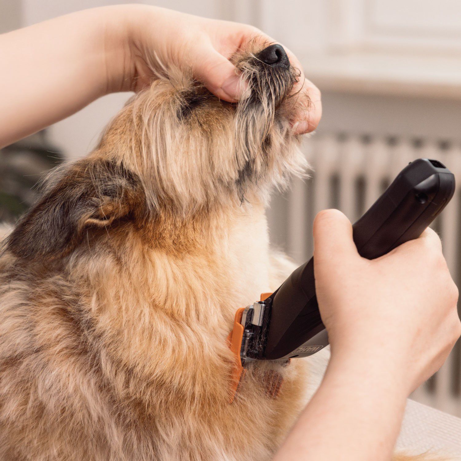 WAHL Hundeklipper Colour Pro