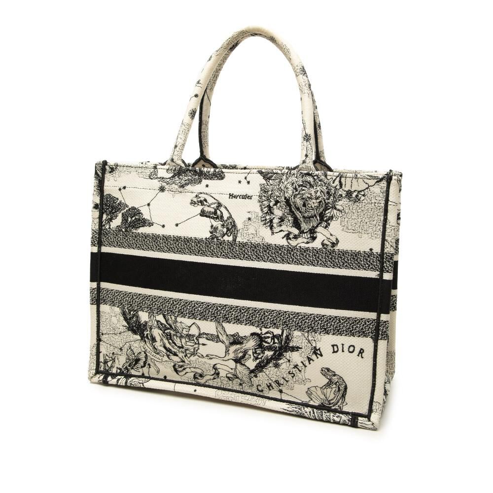 Dior Book Tote