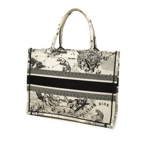 Dior Book Tote