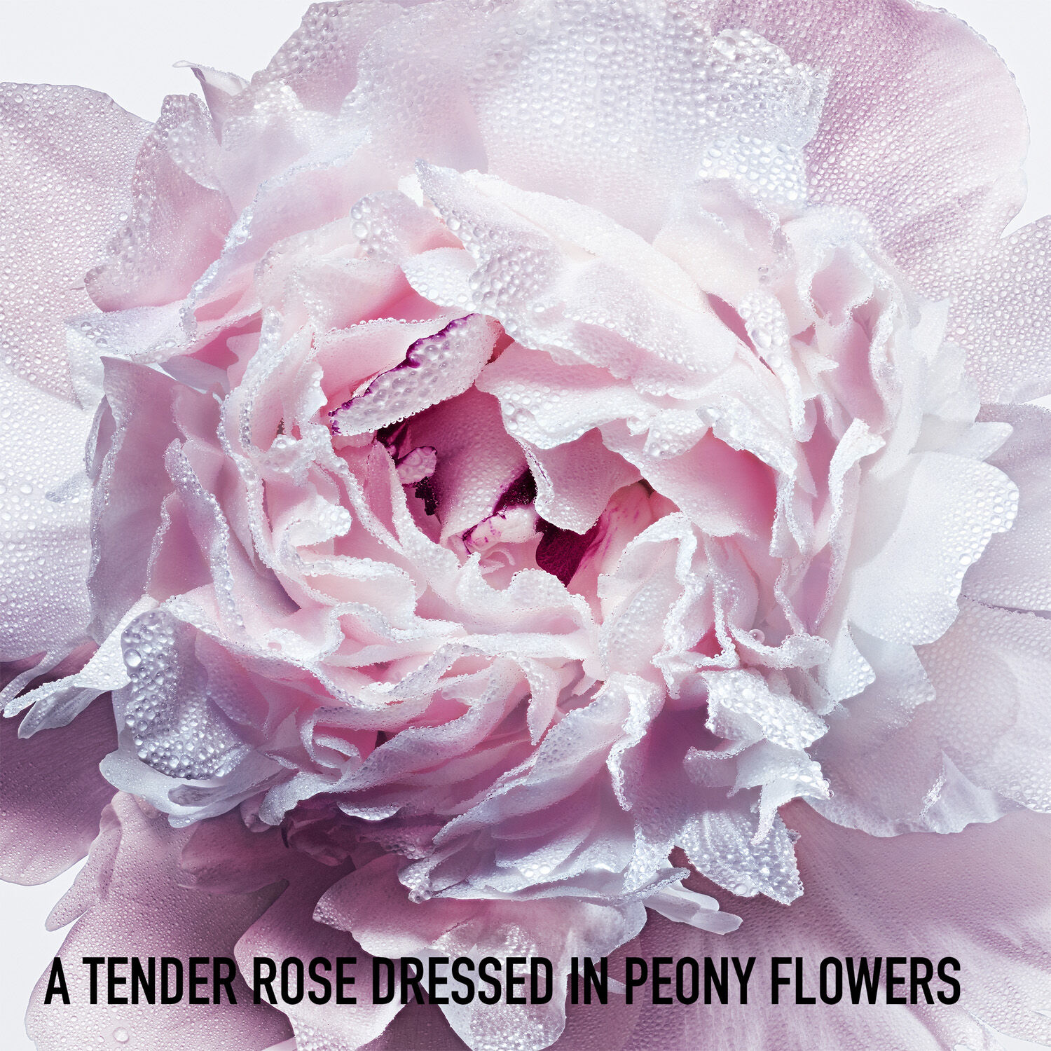 Miss Dior Blooming bouquet roller-pearl