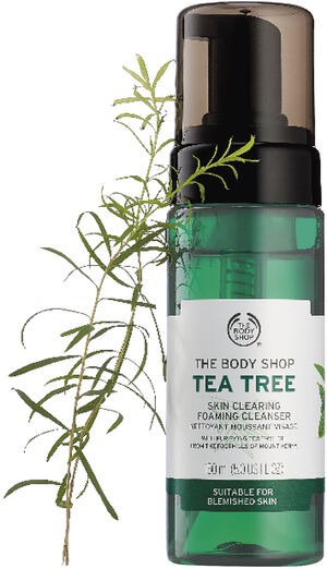 Tea Tree Skin Clearing Foaming Cleanser