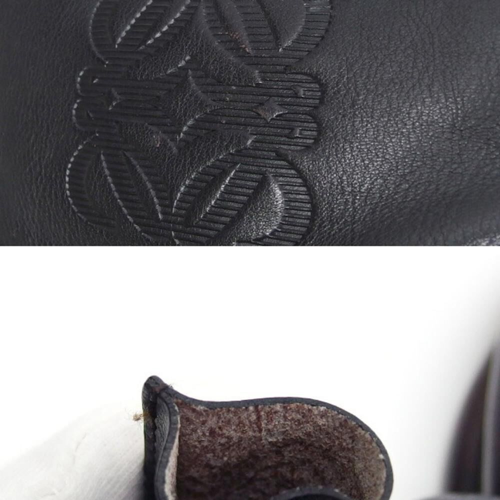 Loewe Amazona