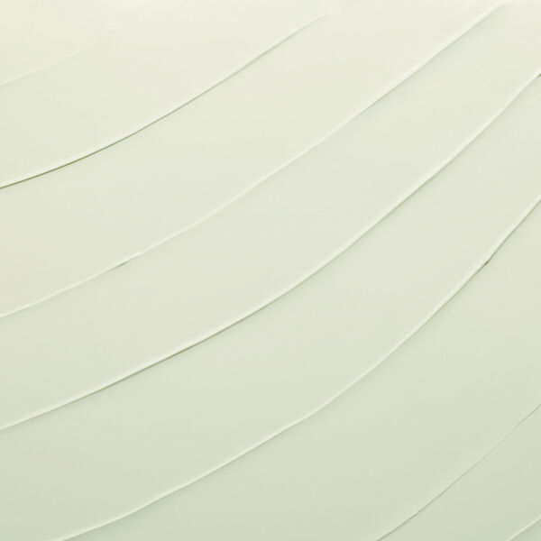 DayWear Anti-Oxidant Cream SPF 15 Dry