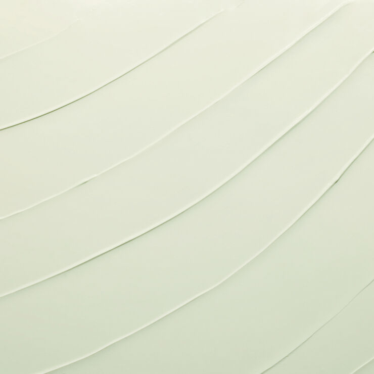 DayWear Anti-Oxidant Cream SPF 15 Dry