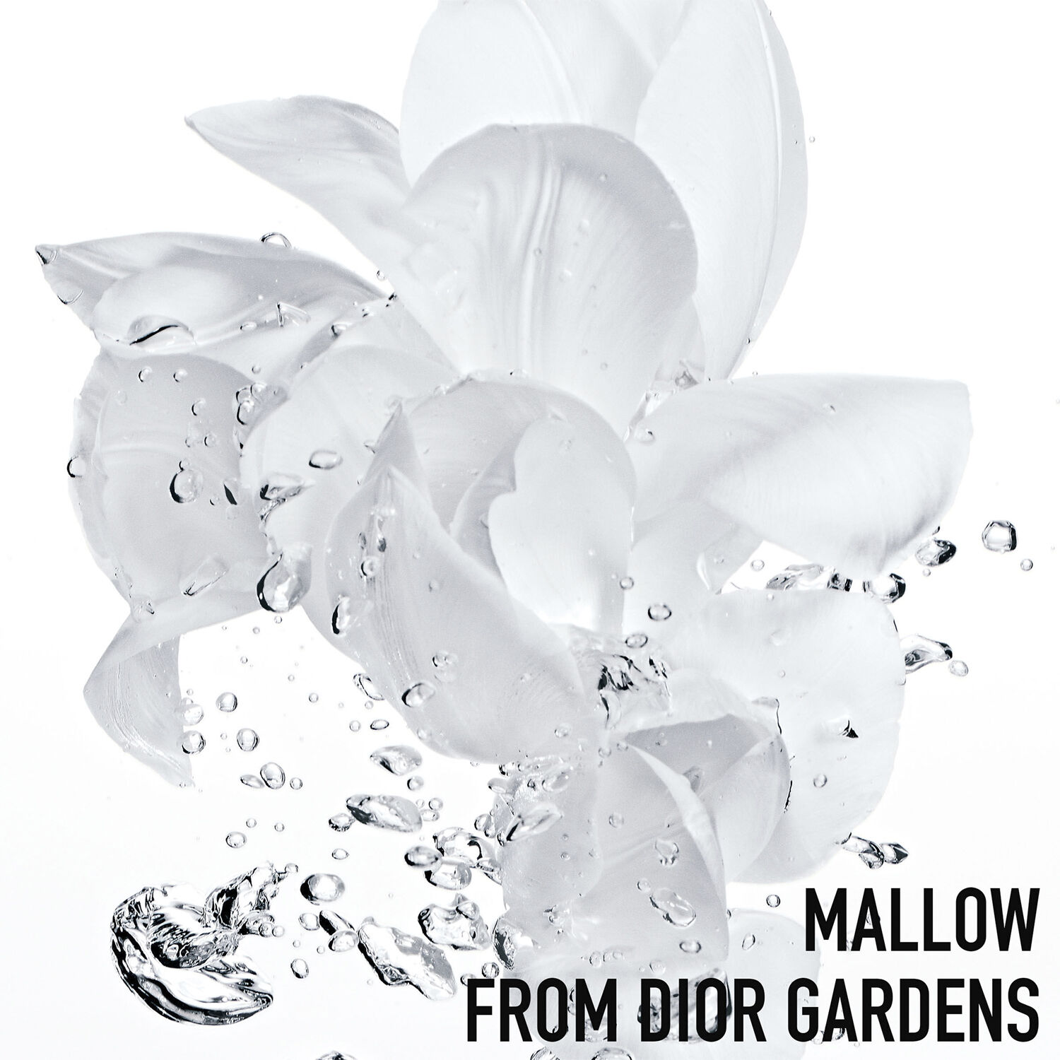 DIOR Hydra Life Intense Sorbet Creme 50 ml