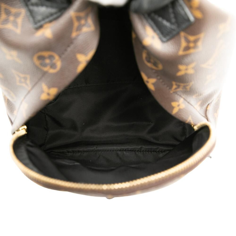 Louis Vuitton Palm Springs