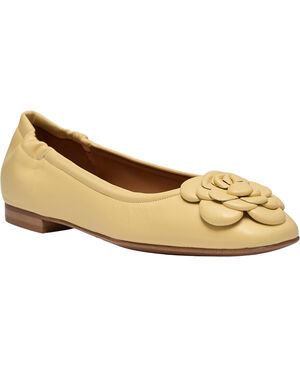 Ballerina - A8043