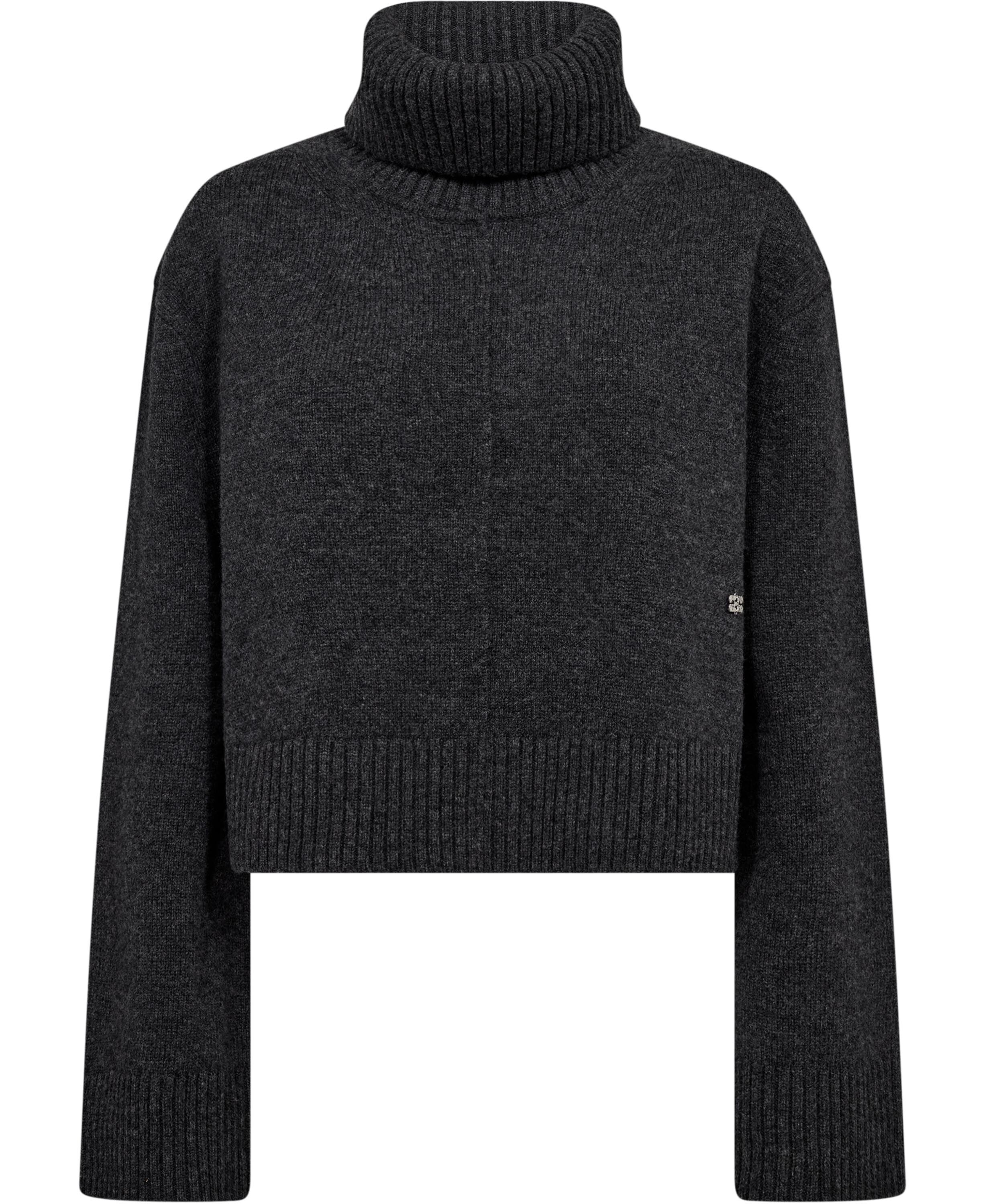 Compact Wool Turtleneck