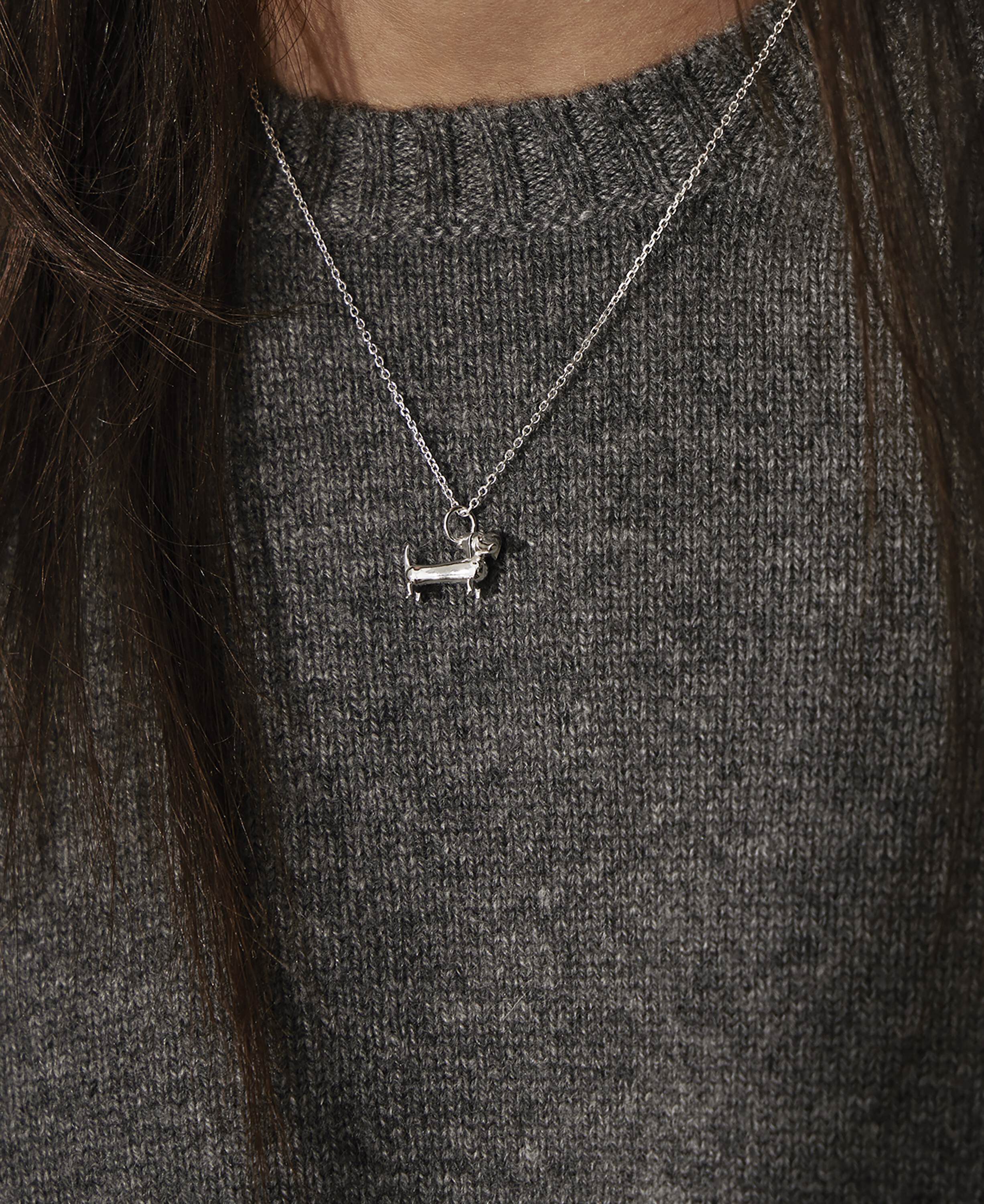 Gravhunden i s&oslash;lv med k&aelig;de med k&aelig;de