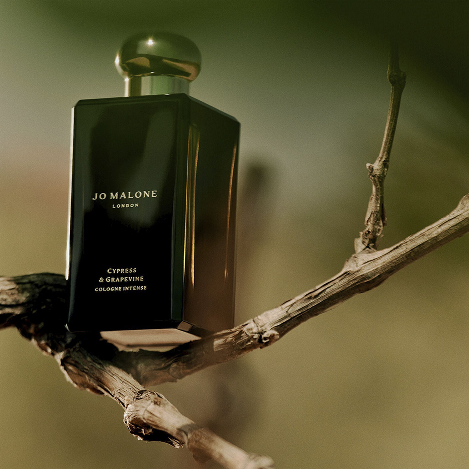 Cypress & Grapevine Cologne Intense