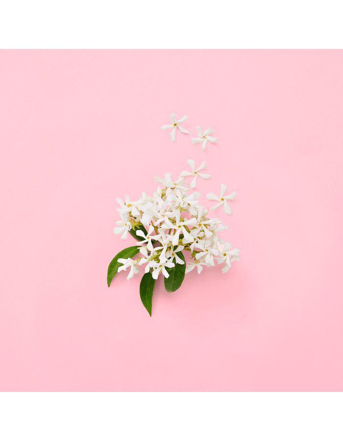 Gucci Flora Gorgeous Jasmine Eau de Parfum