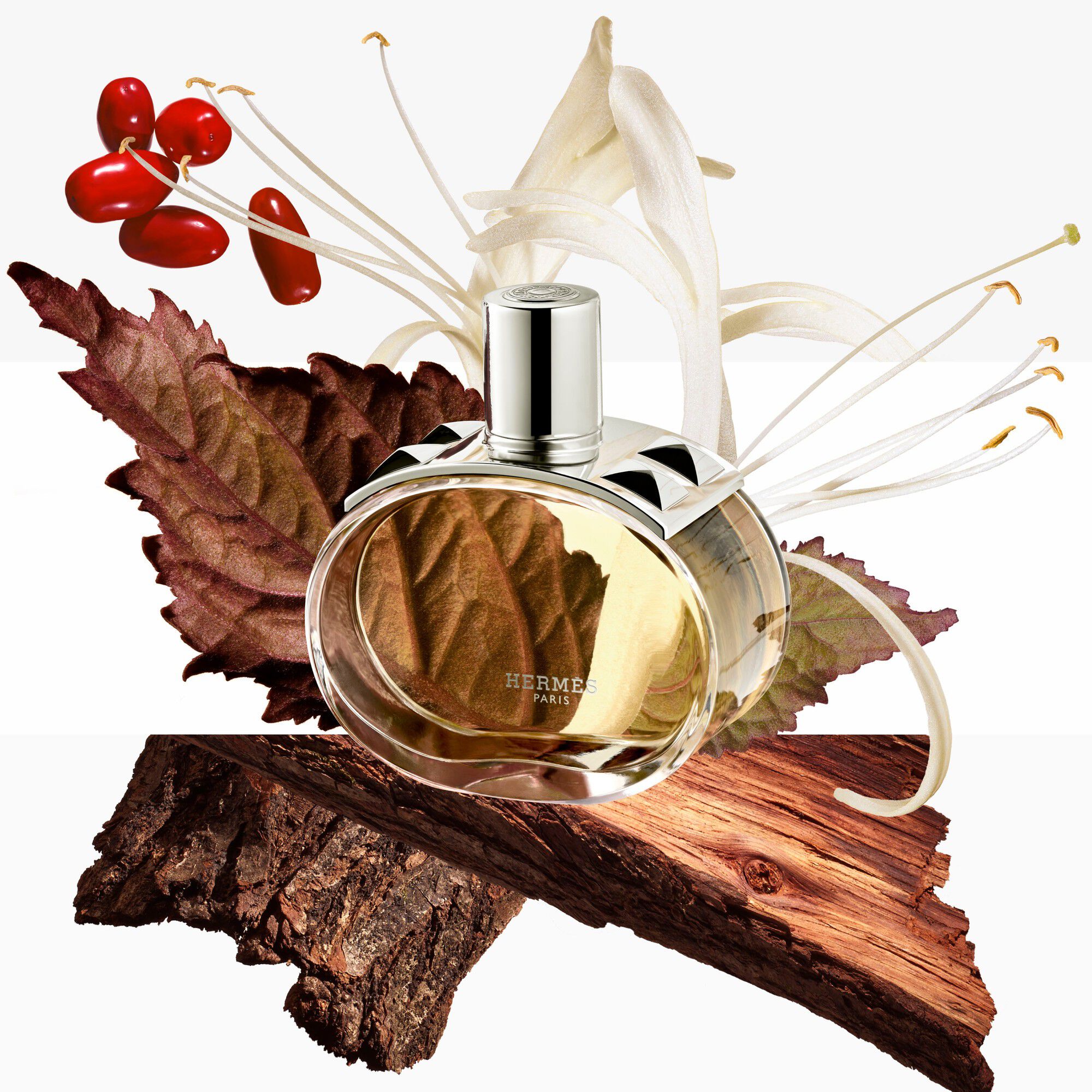 Bar&eacute;nia Eau de Parfum Bottle refill 125ml