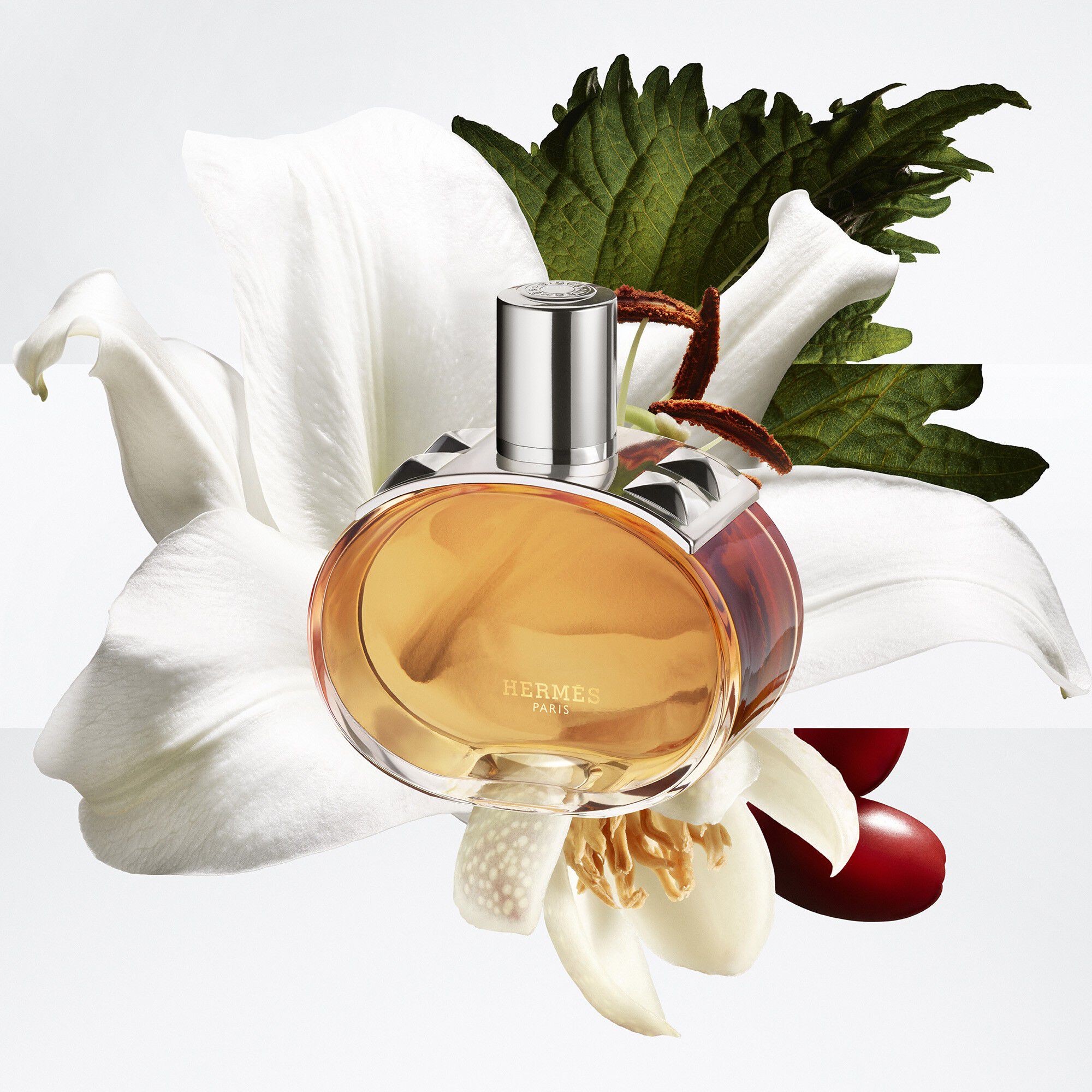 BAR&Eacute;NIA PLEINE FLEUR EAU DE PARFUM 100ML