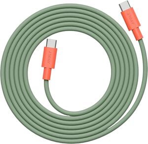 Cable 1 - USB-C to USB-C Bauhaus - Gecko Bloom