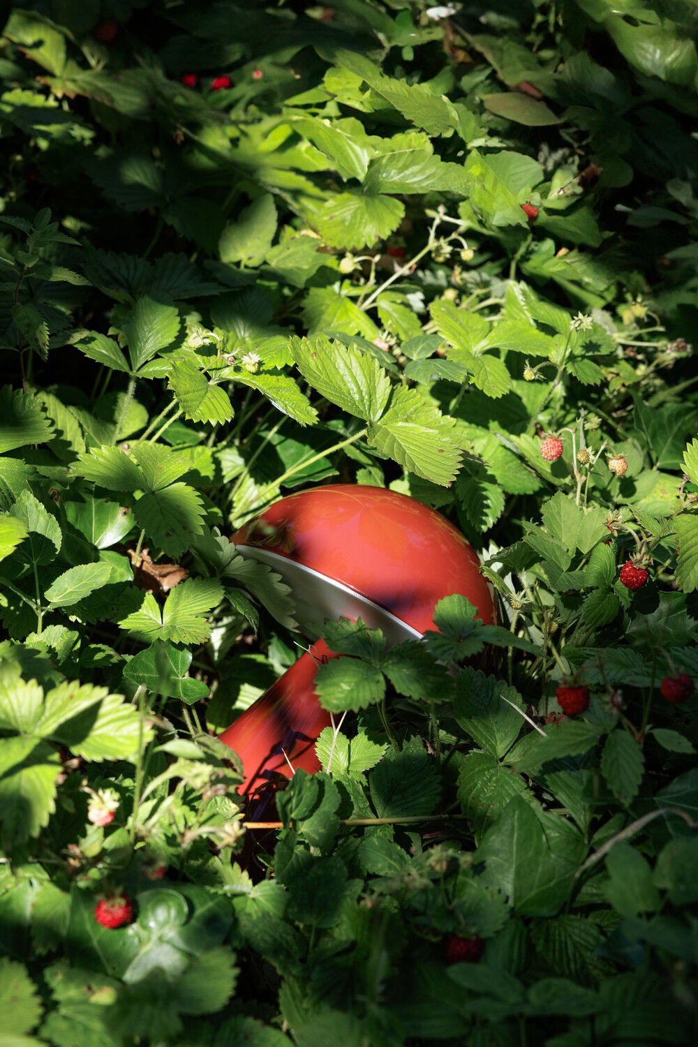 Mush Portable Lamp Red