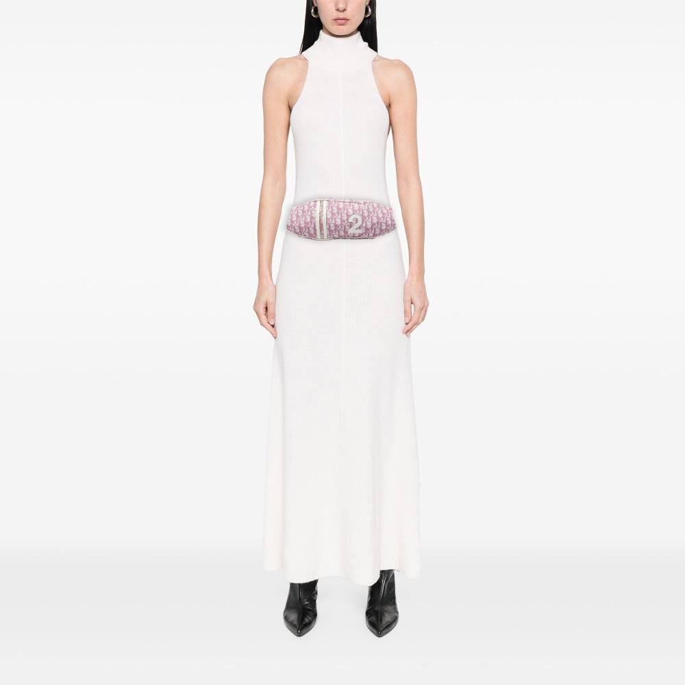 Dior Belt Bag