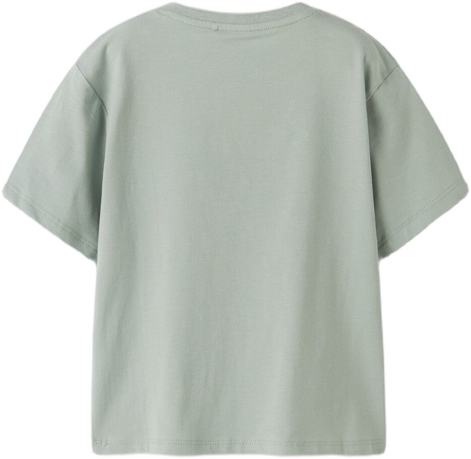 NMMLINDEN SS NREG TOP BOX