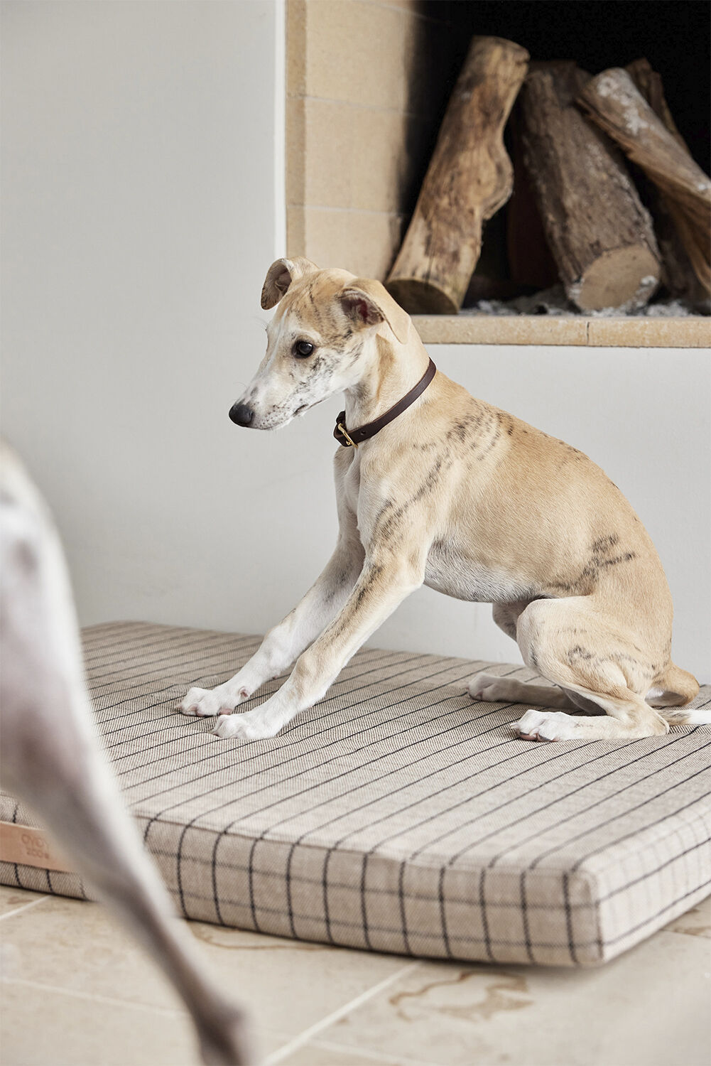 Robin Hundehalsb&aring;nd - Stor