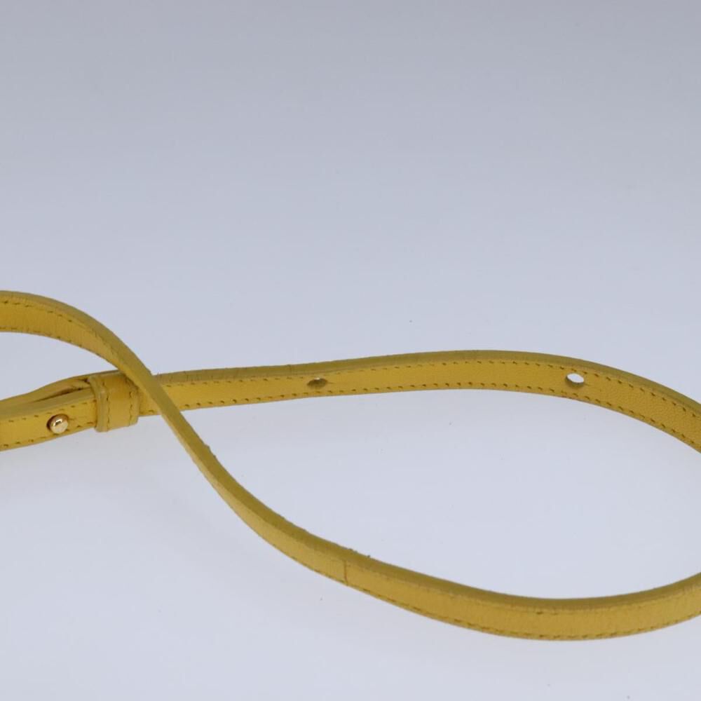 Celine Crossbody Bag