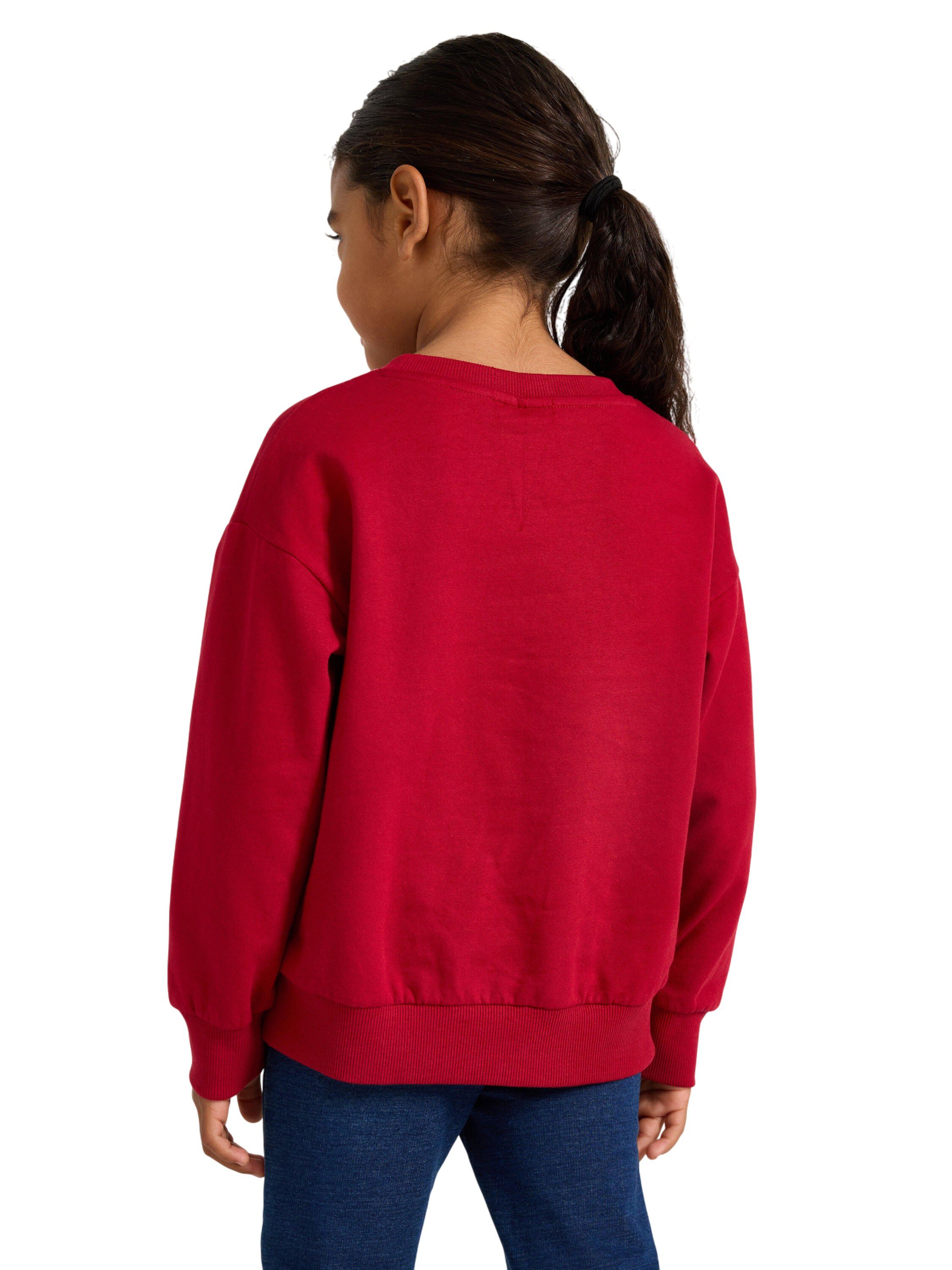 Sweatshirt with a brushed inside an