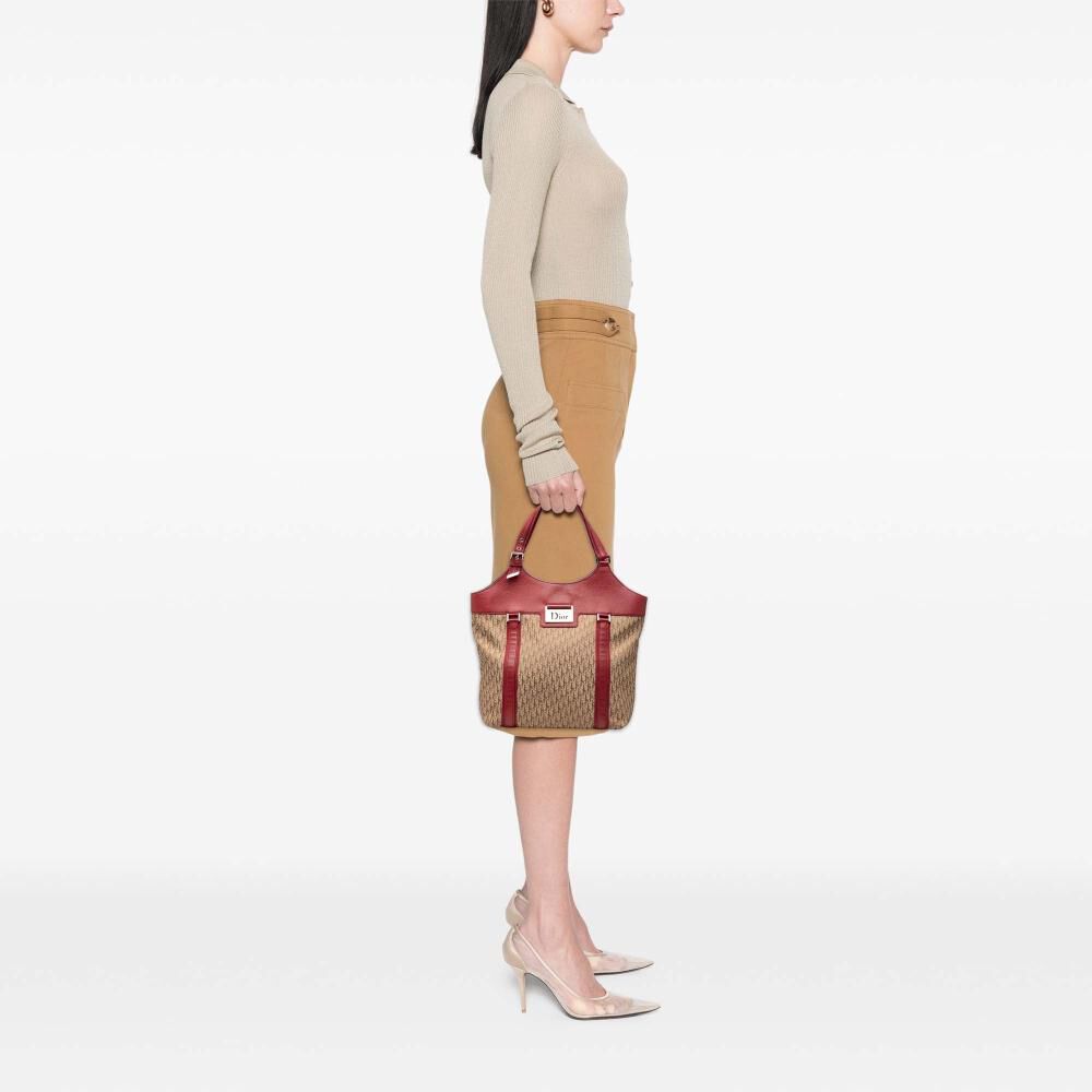 Dior Tote