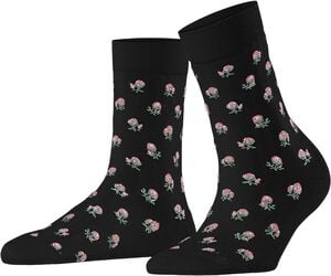 FALKE Cotton T SO Special Edition