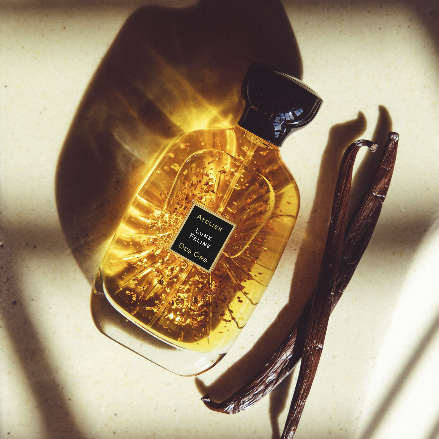 LUNE FELINE - EDP 100ML